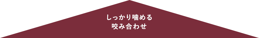 しっかり噛める咬み合わせ