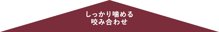 しっかり噛める咬み合わせ